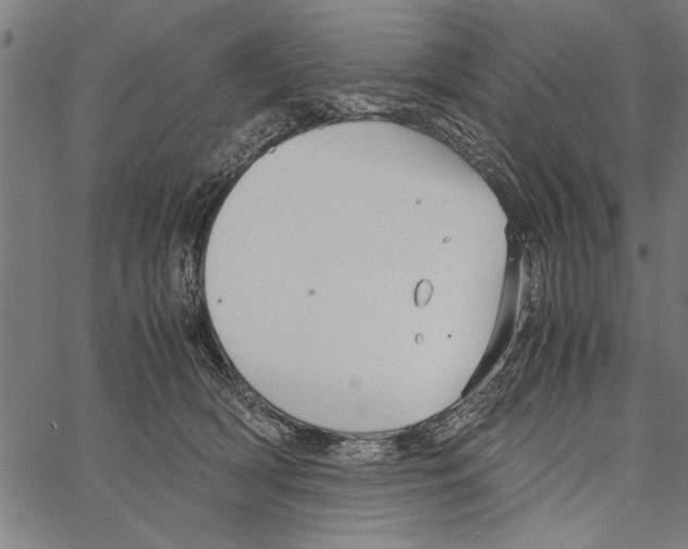 X0000066940418200604211755