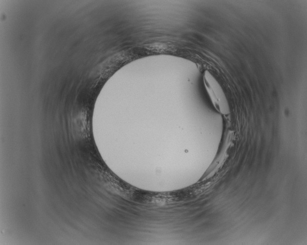 X0000066940420200604211755