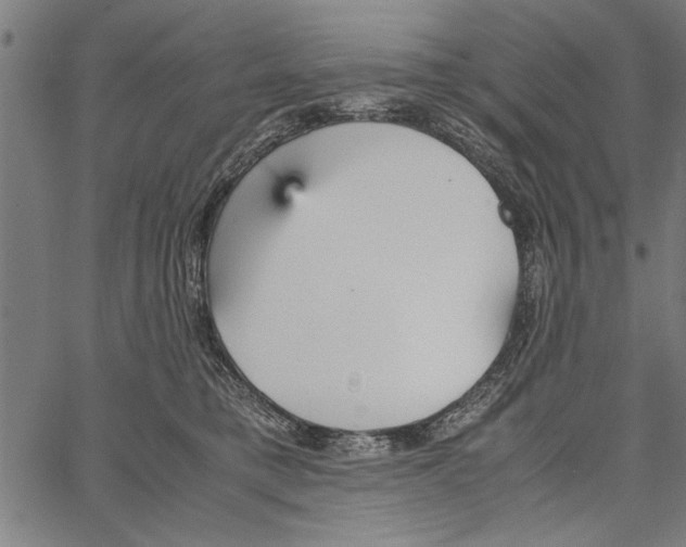 X0000066940421200604211755