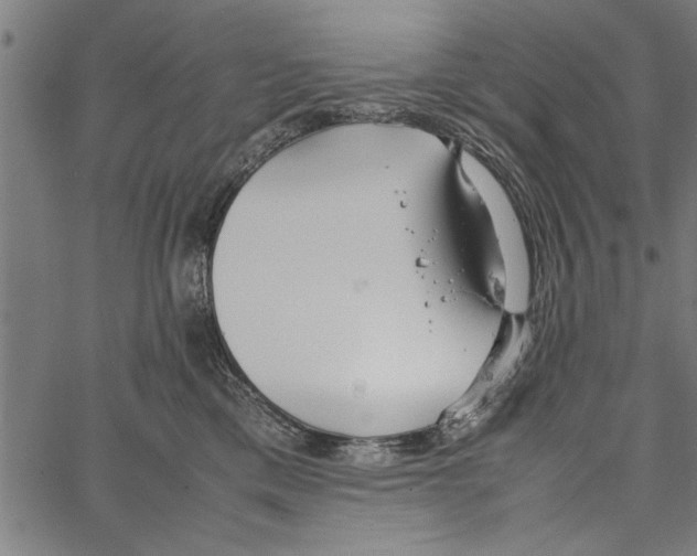 X0000066940425200604211755