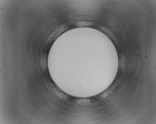 X0000066940426200604211754