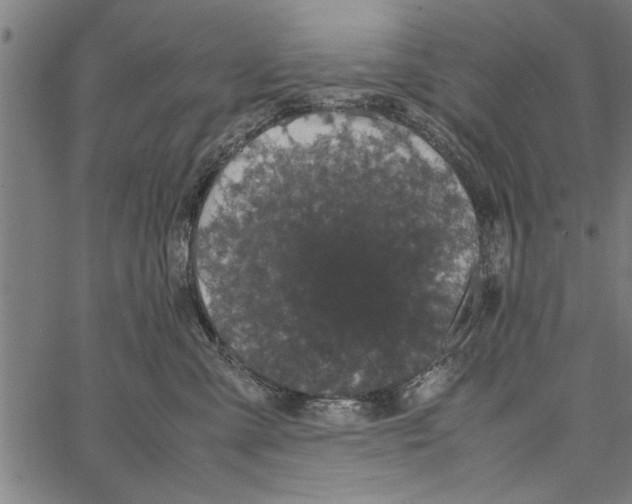 X0000066940427200604211754