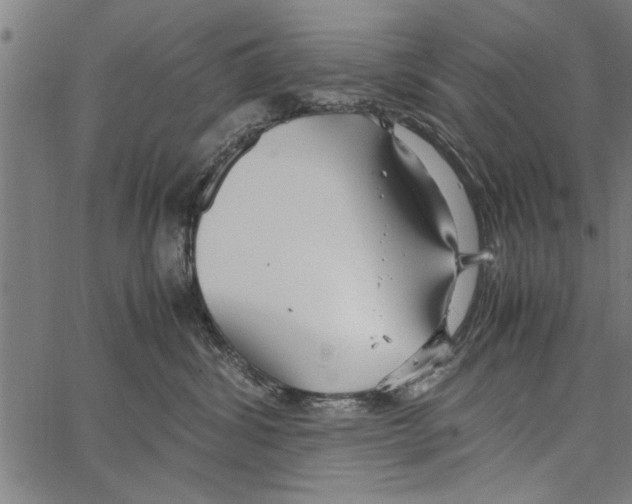 X0000066940428200604211754