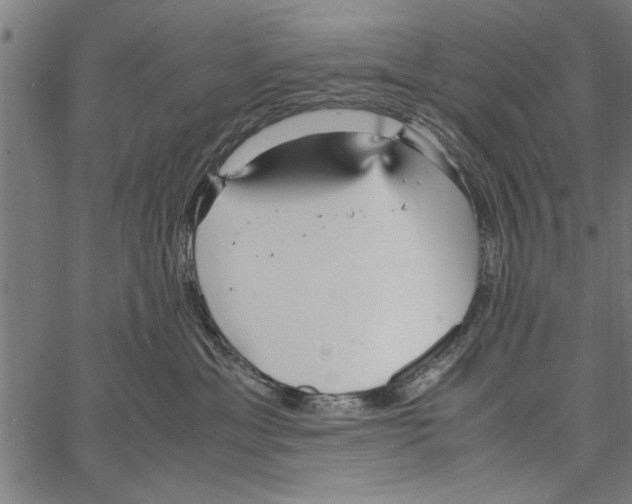 X0000066940429200604211754