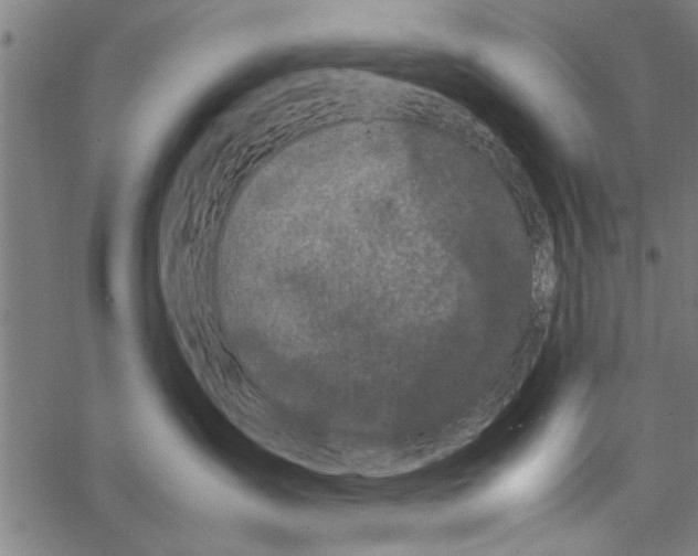 X0000066940431200604211754