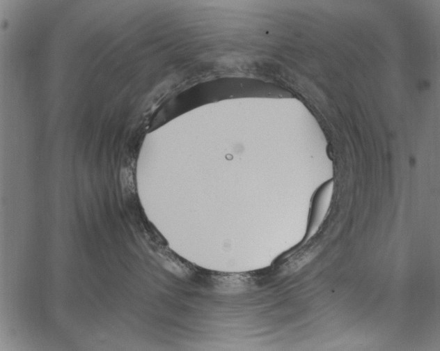 X0000066940432200604211754