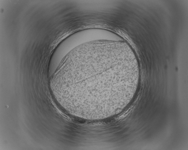 X0000066940433200604211754