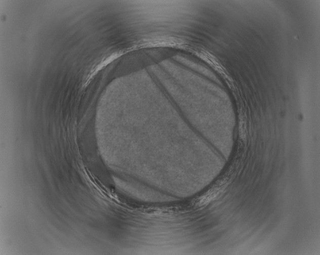 X0000066940434200604211754