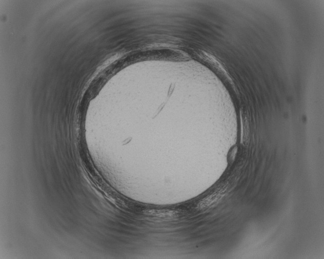 X0000066940435200604211754