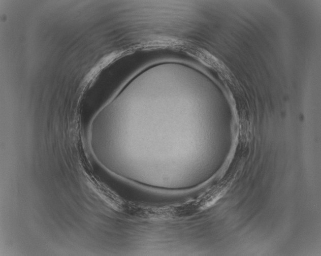 X0000066940436200604211754