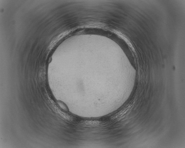 X0000066940437200604211754