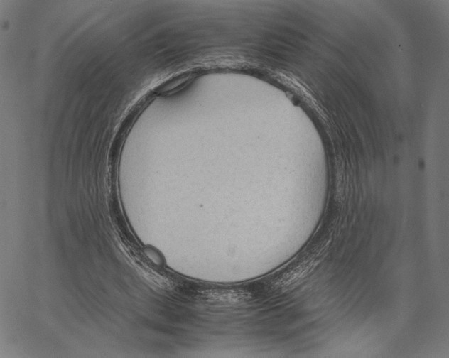 X0000066940439200604211754