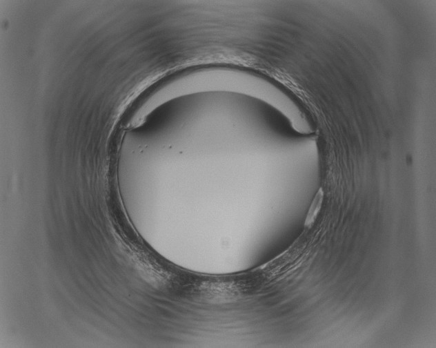 X0000066940440200604211754