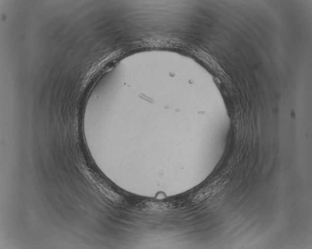 X0000066940442200604211754