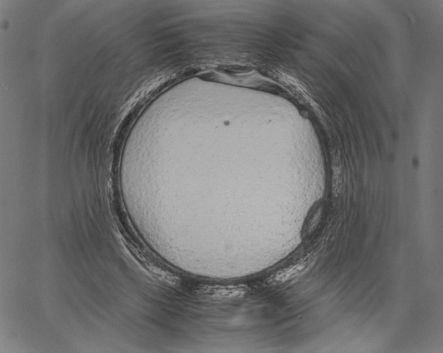 X0000066940443200604211754