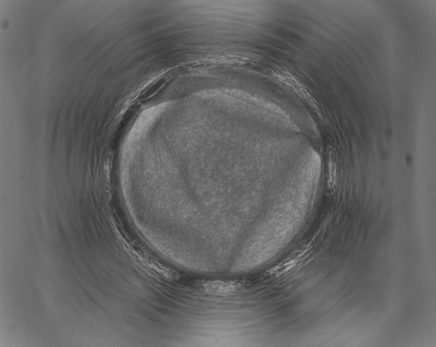 X0000066940444200604211754