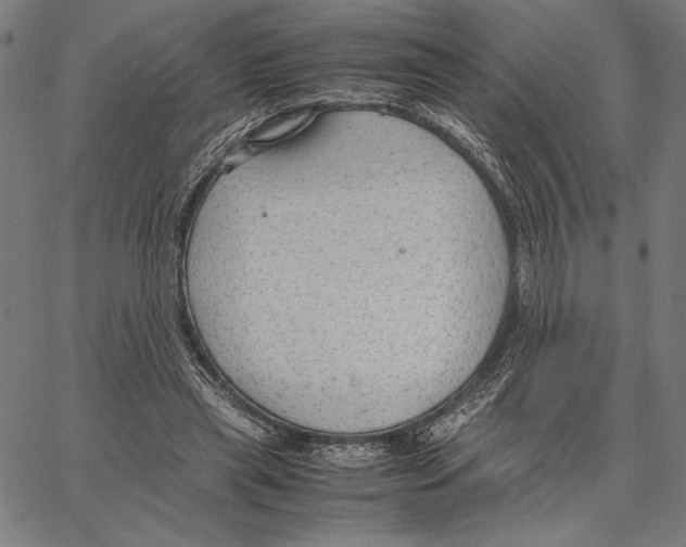 X0000066940445200604211754