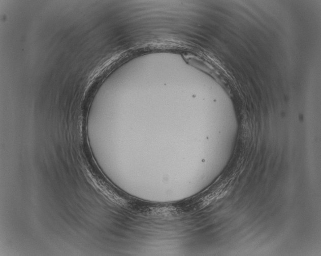 X0000066940446200604211754