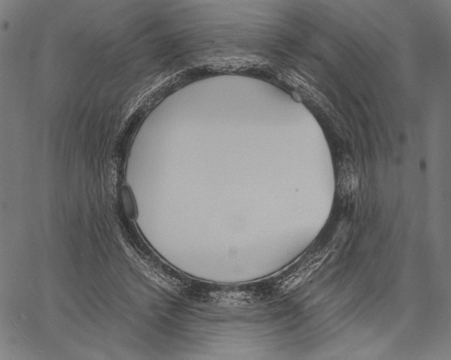 X0000066940448200604211754