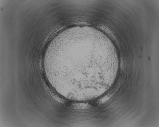 X0000066940449200604211754