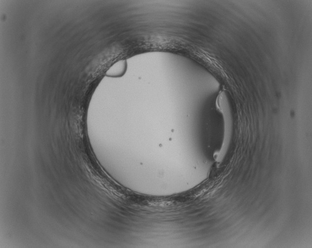 X0000066940450200604211754