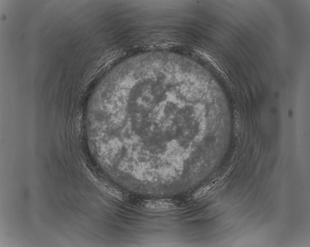 X0000066940451200604211754