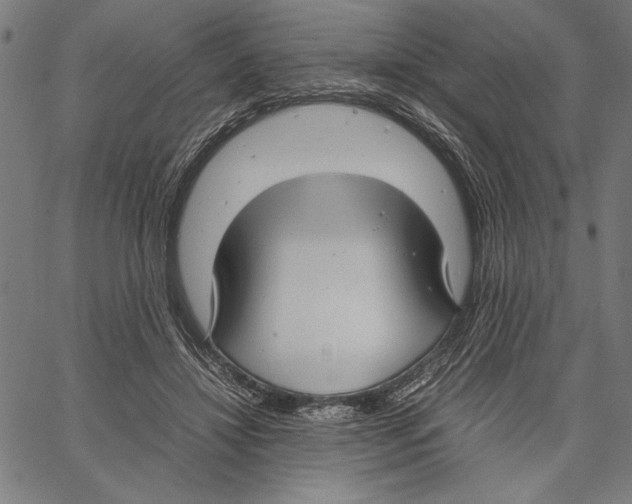 X0000066940452200604211754