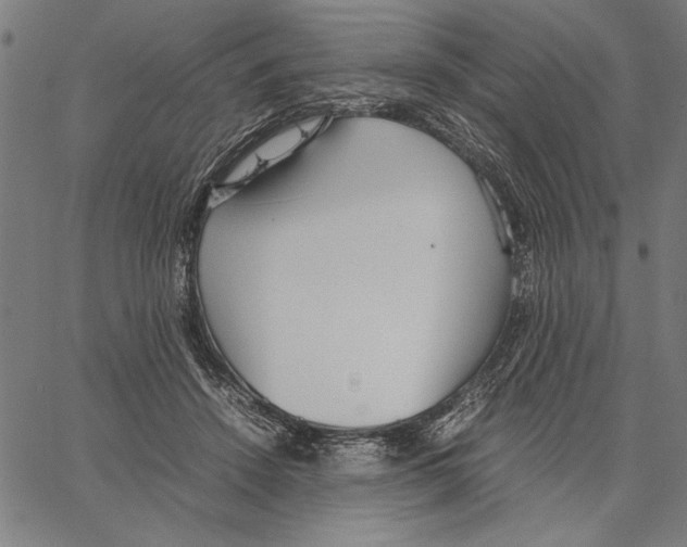 X0000066940456200604211754