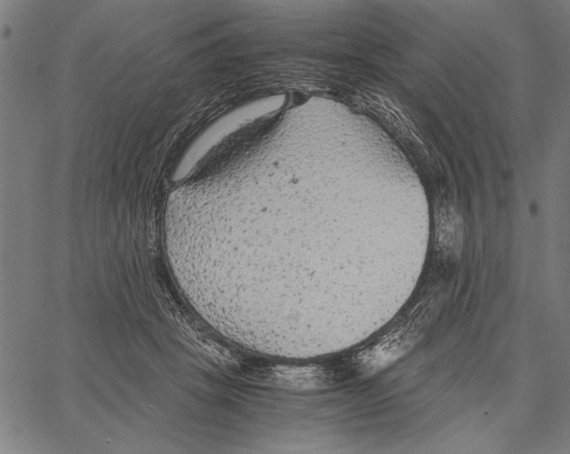 X0000066940457200604211754