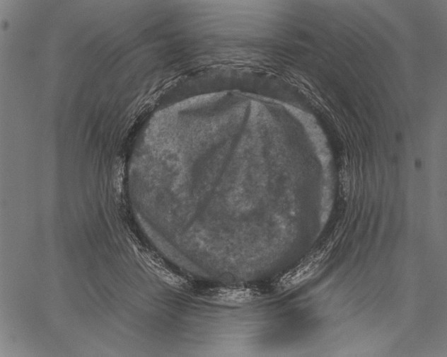 X0000066940458200604211754