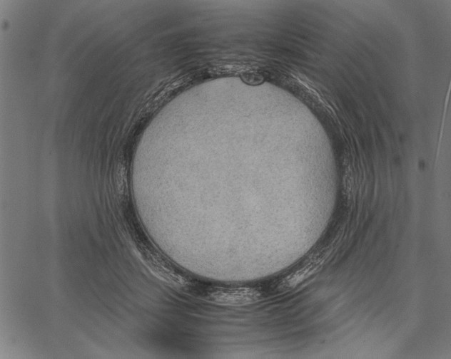 X0000066940459200604211754