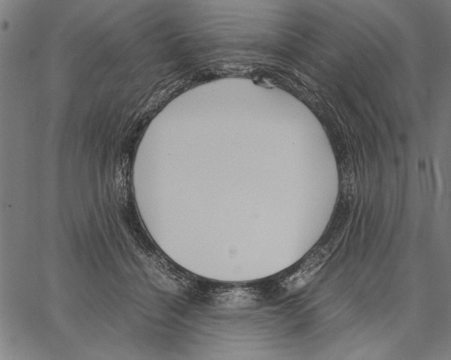 X0000066940460200604211754