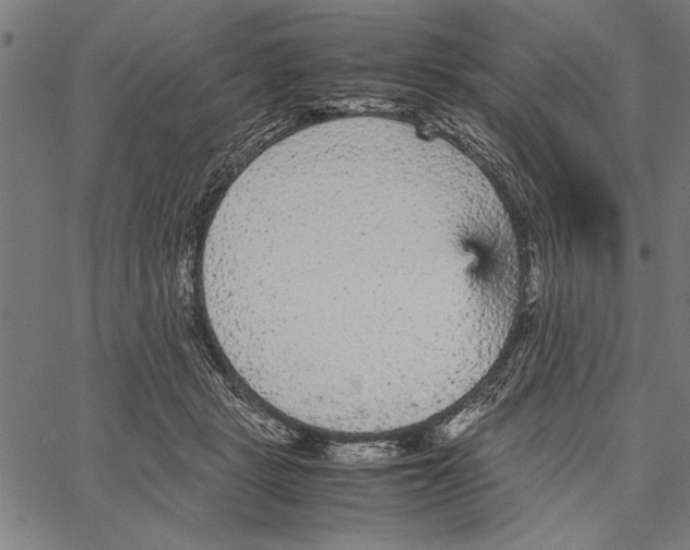 X0000066940461200604211754