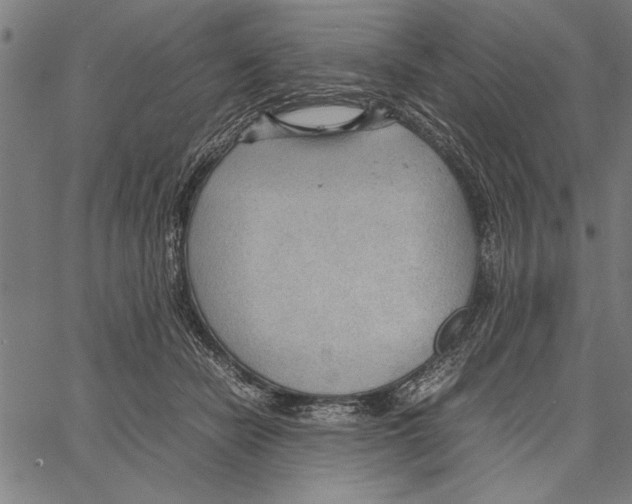 X0000066940462200604211754