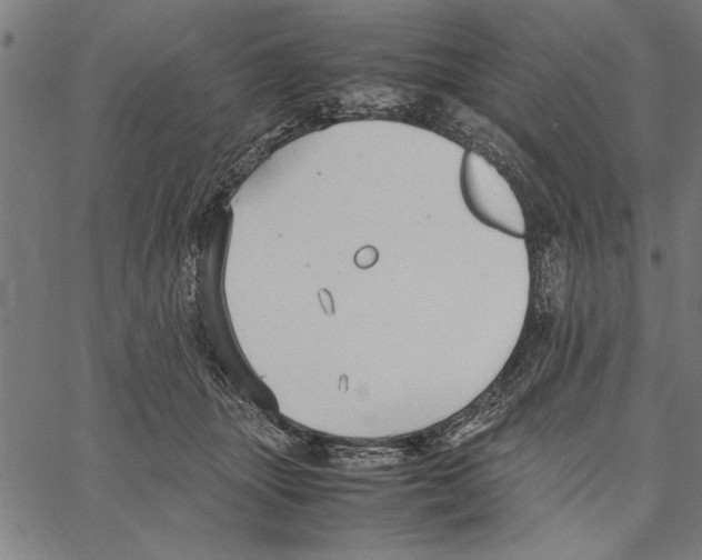 X0000066940463200604211754