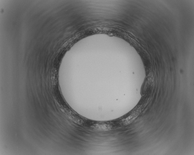 X0000066940464200604211754