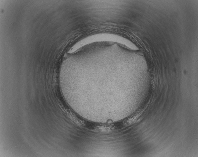 X0000066940466200604211754