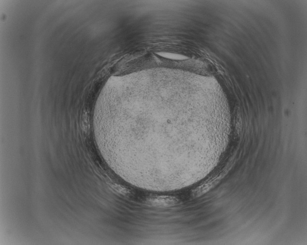 X0000066940467200604211754