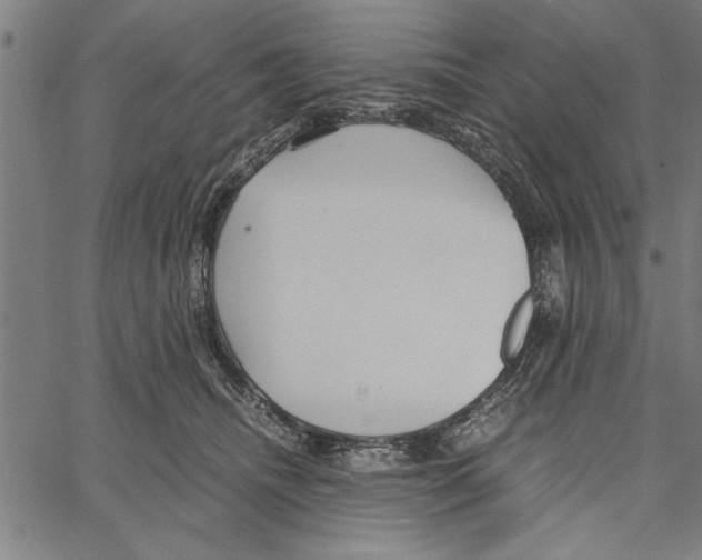 X0000066940468200604211754