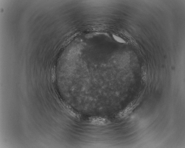 X0000066940471200604211754