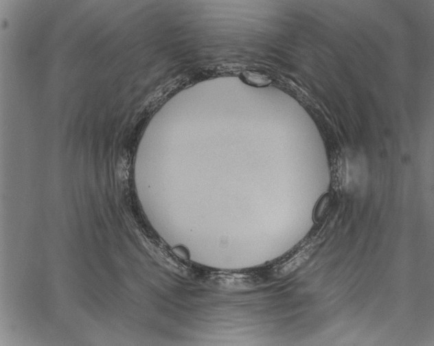 X0000066940472200604211754