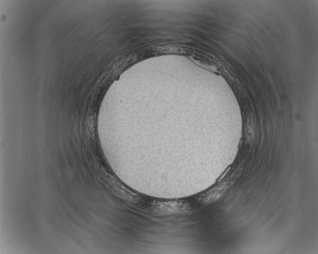 X0000066940473200604211754