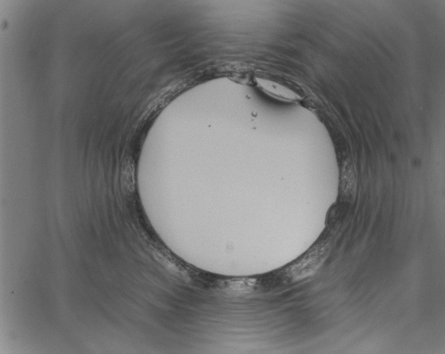 X0000066940474200604211754