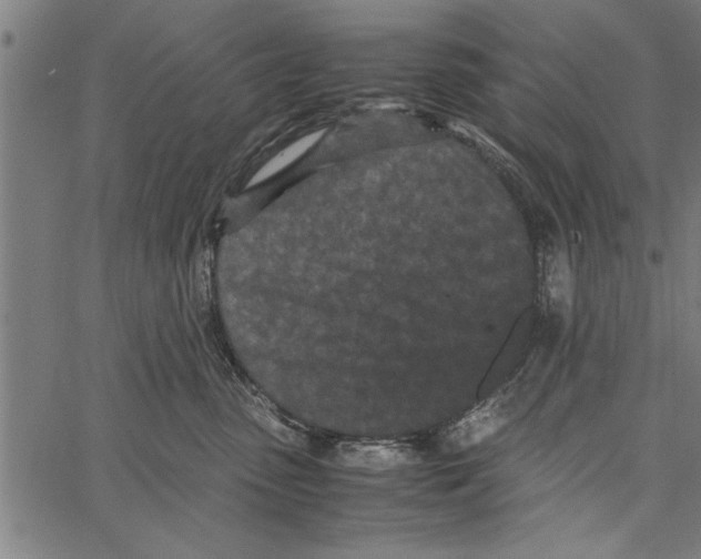 X0000066940475200604211754