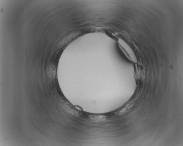 X0000066940476200604211754