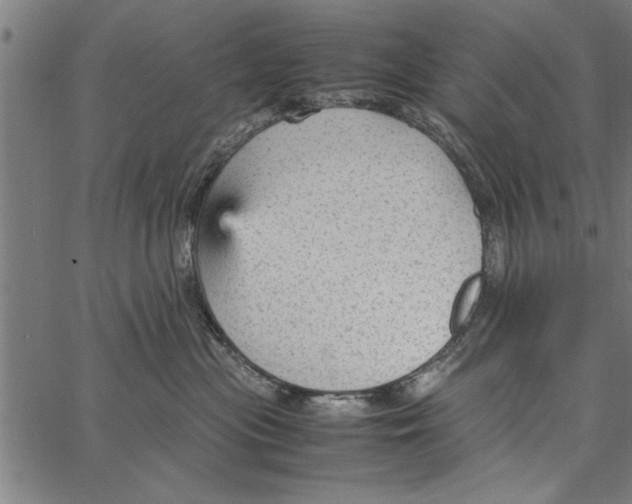 X0000066940477200604211754