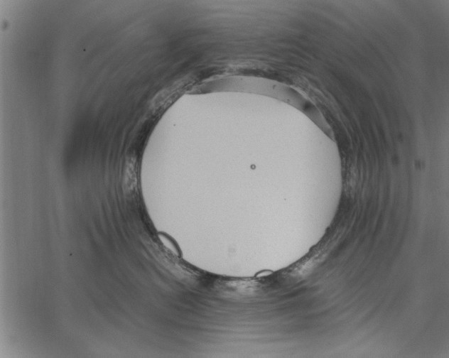 X0000066940478200604211754