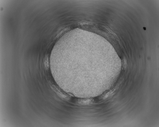 X0000066940479200604211754