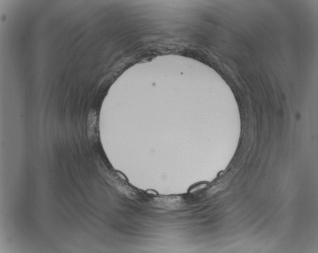 X0000066940480200604211754