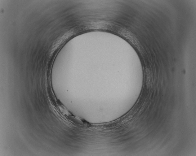 X0000066940482200604211754